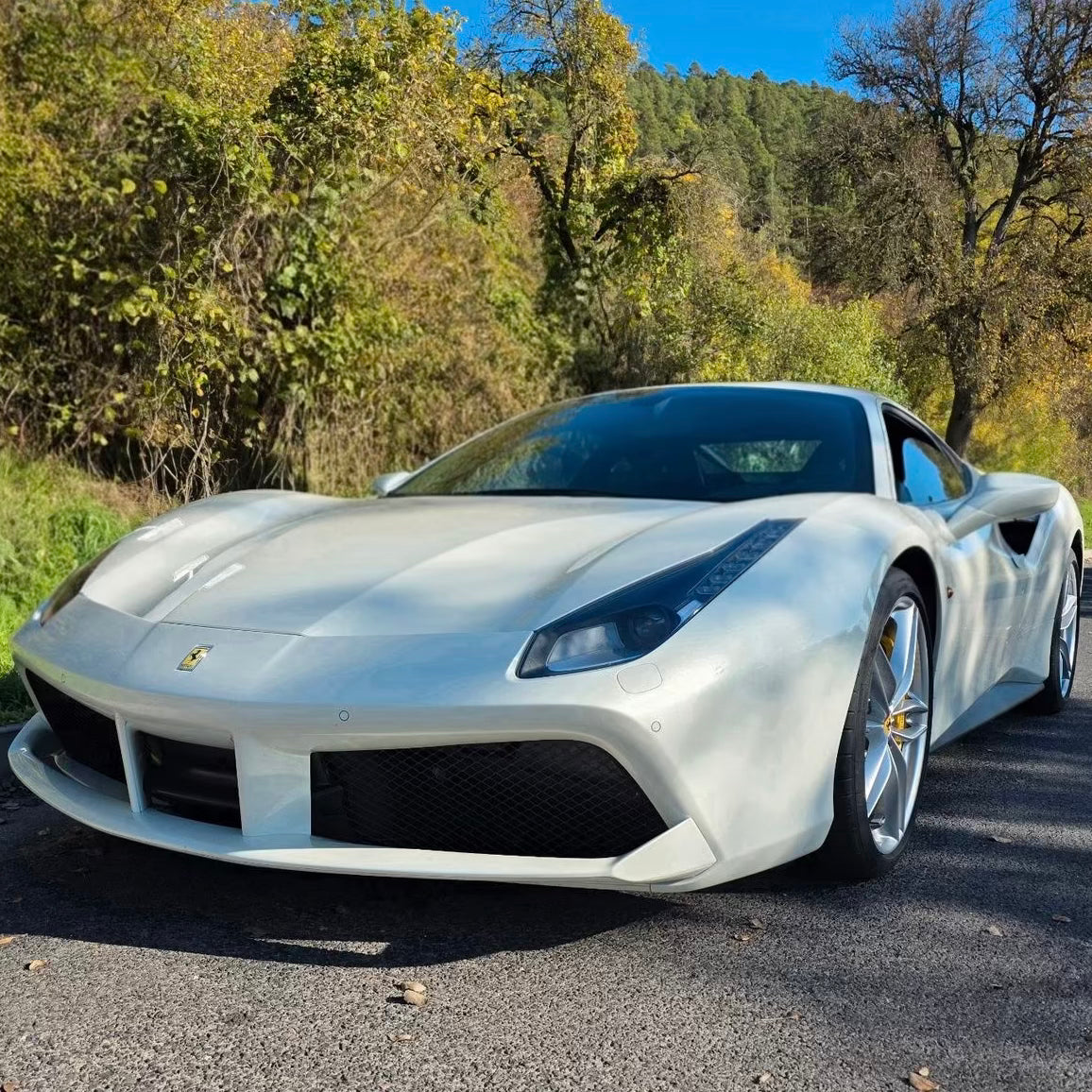 Ferrari 488 GTB | 669 PS | GARANTIE/LIFT/CARBON