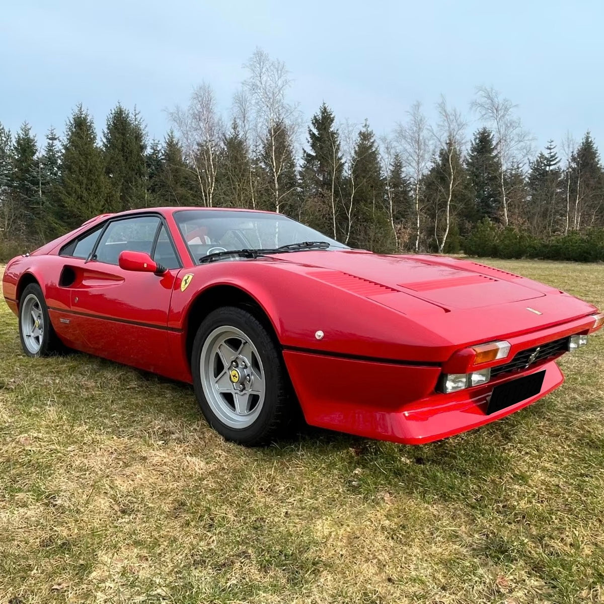 Ferrari 308 GTB | 239 PS | LIMITIERT/OLDTIMER/LEDER