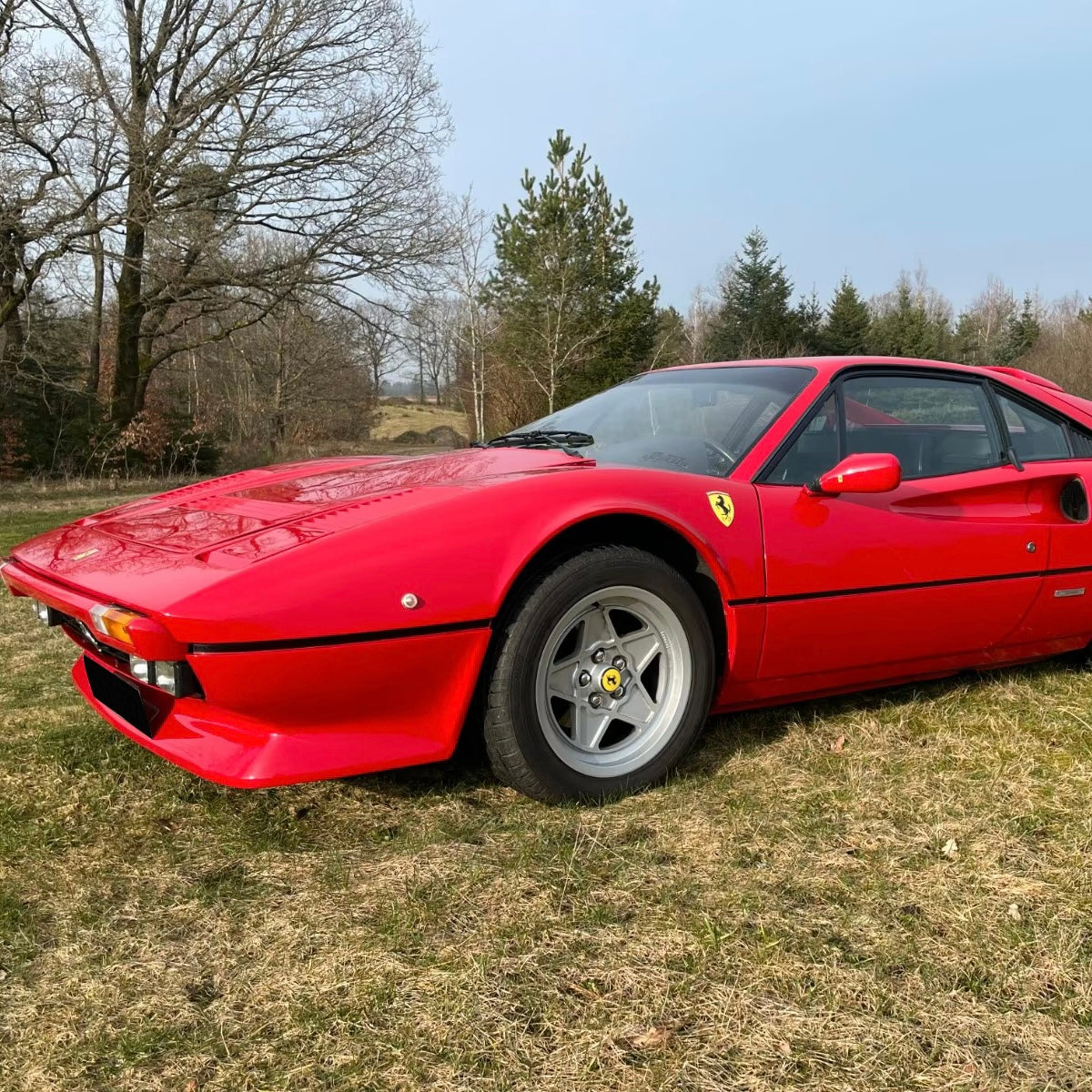 Ferrari 308 GTB | 239 PS | LIMITIERT/OLDTIMER/LEDER