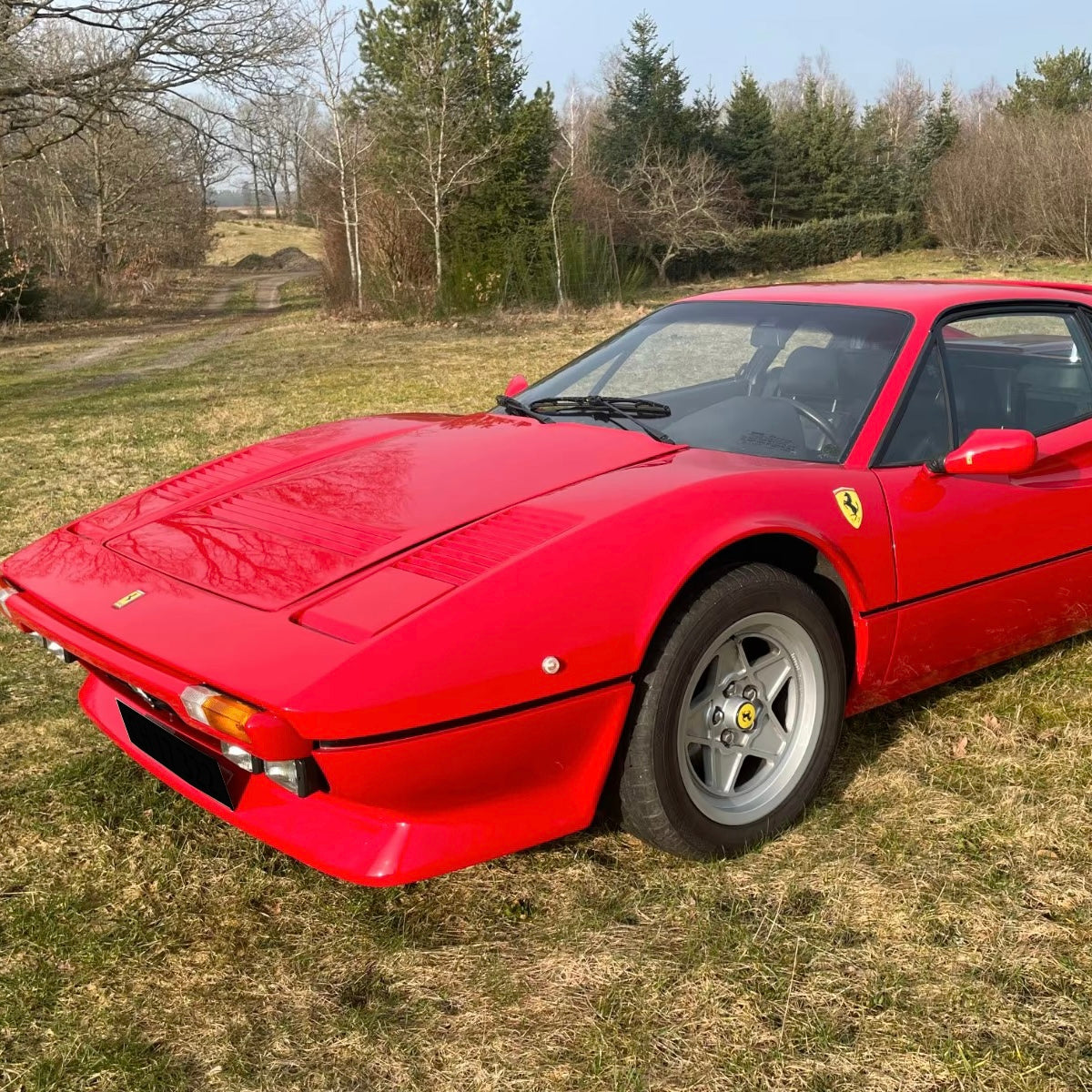 Ferrari 308 GTB | 239 PS | LIMITIERT/OLDTIMER/LEDER